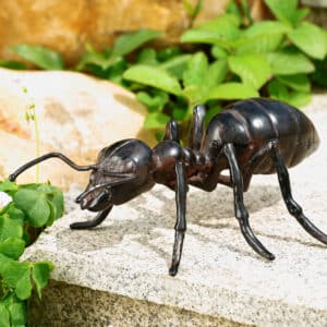 SPI, 3.5" Giant Cast Iron Ant - Brown