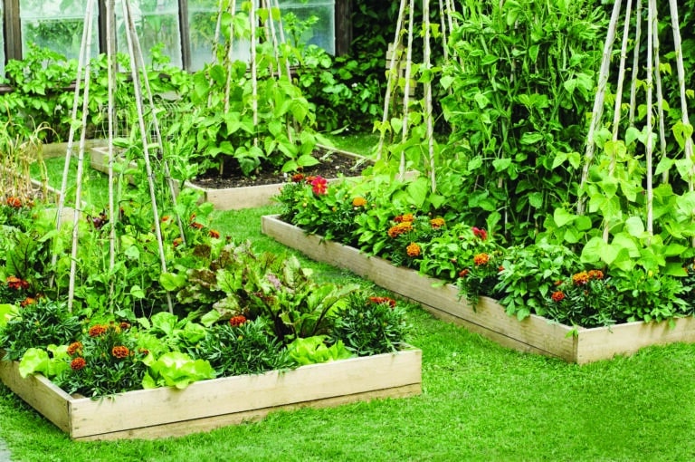 Raised beds
