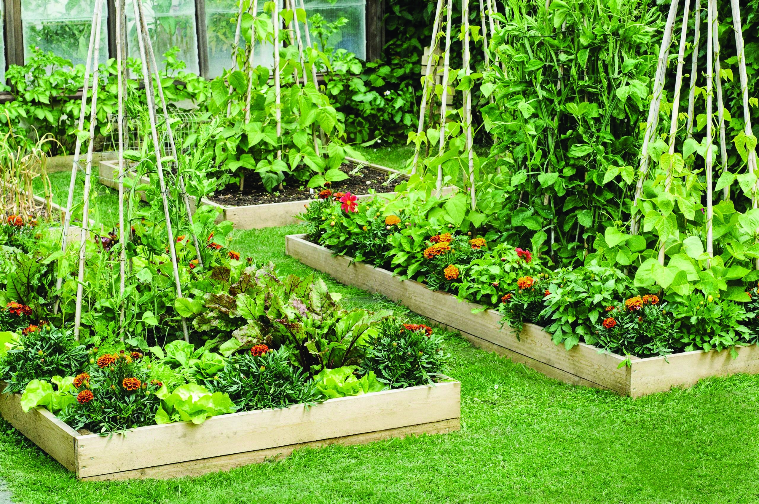 Raised beds