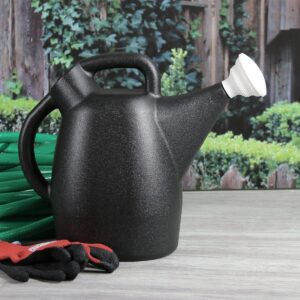 Tru-Stream 2gal
