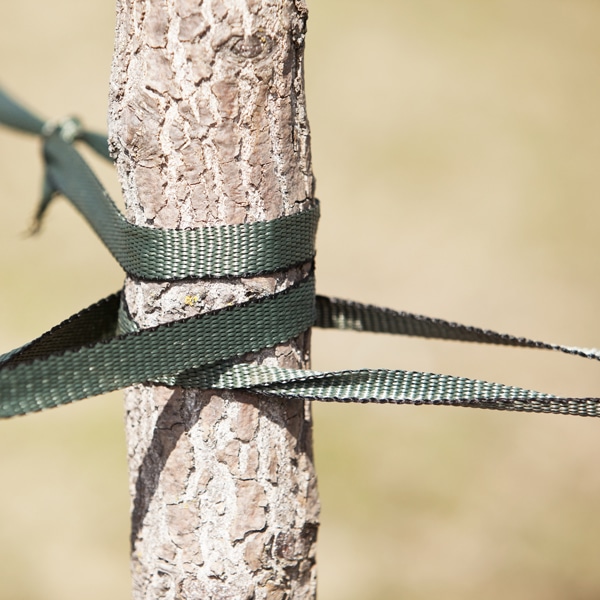 Staking, Supports, Stands
