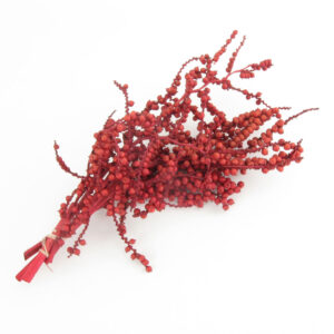 Canella Berries, Red 5pc