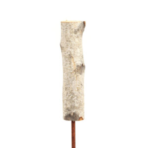 6" Mini Birch Pole