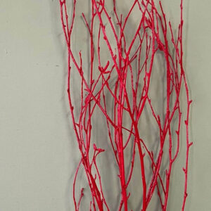 Painted Birch 36-48", Red 4pc