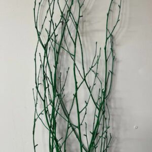 Painted Birch 36-48", Grn 4pc