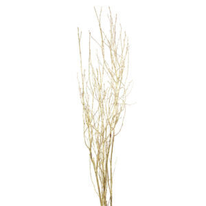 Birch Branch,Gold Glitter 4pc