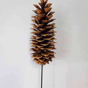 Sugar Pinecone Pick, Natural