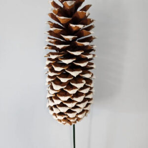 Sugar Pinecone Pick, White Tip