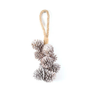 White Wash Pine Cones, Hanging