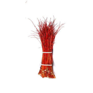 Dogwood Cardinal Tips 30-36"