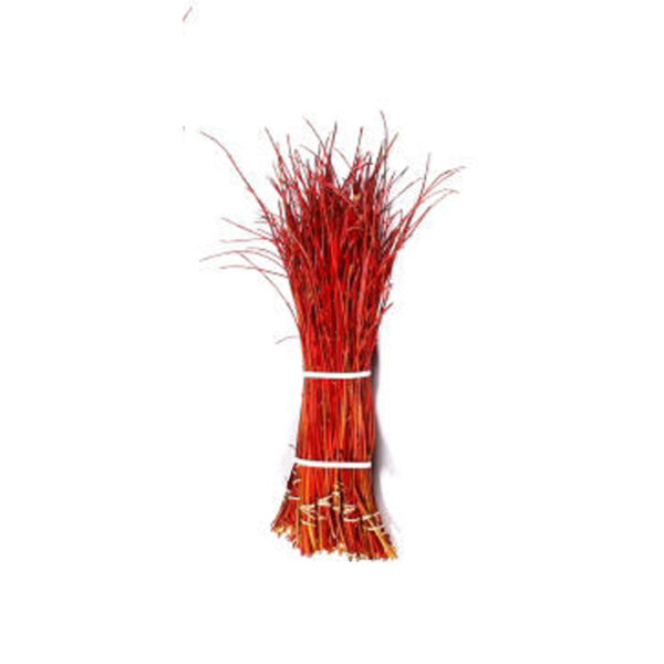 Dogwood Cardinal Tips 30-36"