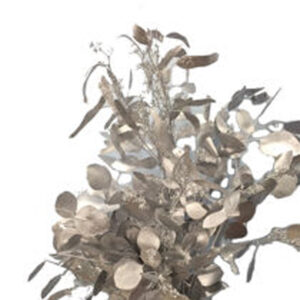 Eucalyptus Seeded Painted Slvr