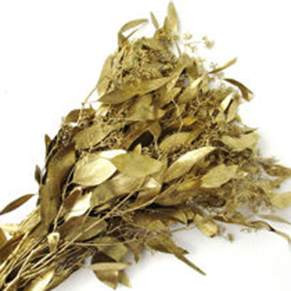 Eucalyptus Seeded Painted Gld