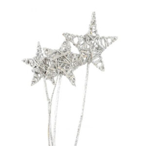 Lata Star, Slvr Glitter 4-5pc