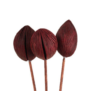 Mintolla Balls, Merlot 3pc