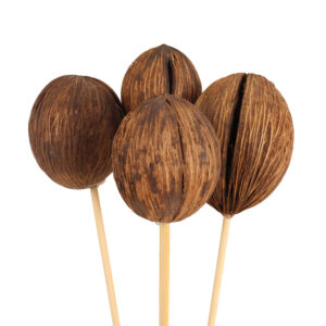 Mintolla Balls, Natural 3pc