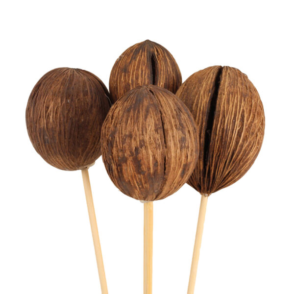 Mintolla Balls, Natural 3pc