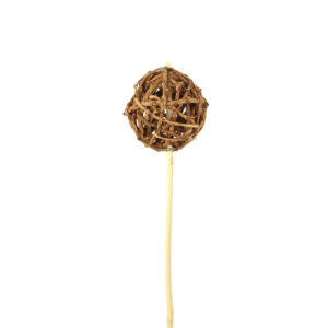 Root Ball Stem, Natural