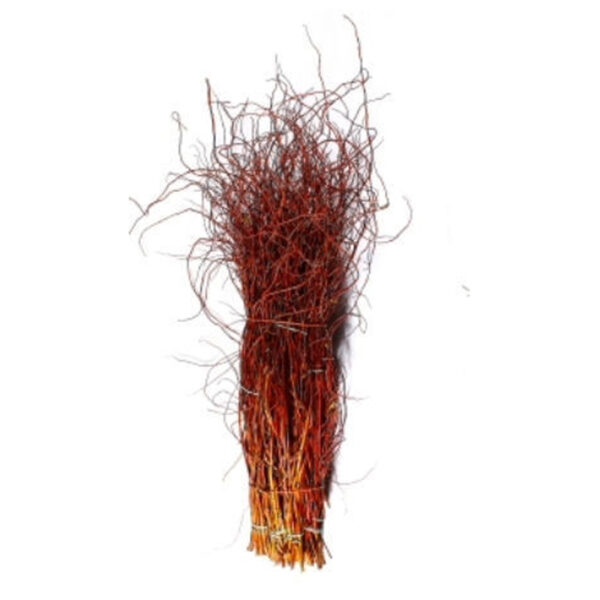 Curly Willow Tips 30-36" Rd 10pc